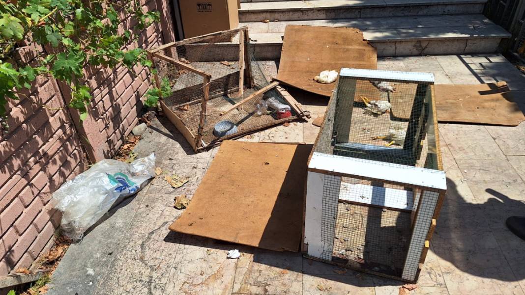 Kocaeli'de pet shop katliamı: Dükkanımın önüne hayvanlarımın ölüsünü atmışlar 2